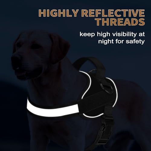 Essential Dog Harness (L / Black)