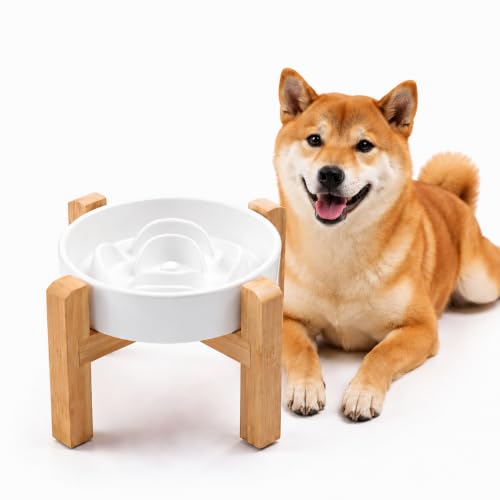 Ceramic Slow Feeder (White / 8.26in)