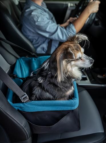Rover Pet Booster Seat for Small Dogs or Cats