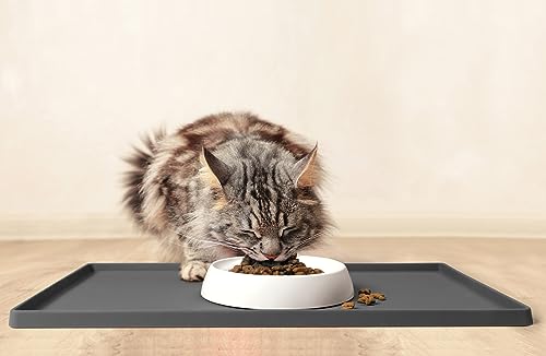 Cat Bowls Whisker Friendly Food Bowl for Indoor Cats (Dish - Set of Two / Marshmallow)