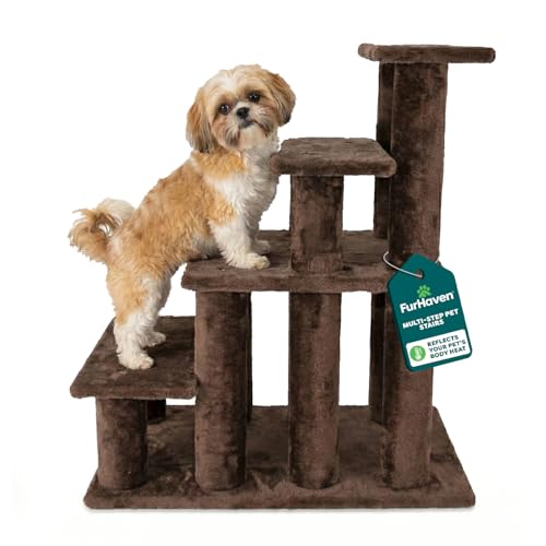 Steady Paws Multi