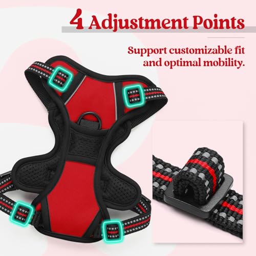 Dog Harness No Pull for Small Dogs with 2 Leash Clips (X-Small / Red)