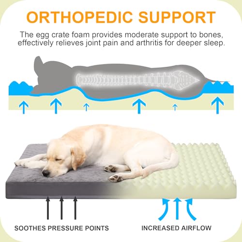 Orthopedic Dog Bed for XL Dogs with Waterproof Lining (Dark Grey / 47.0"L x 29.0"W x 4.0"Th)