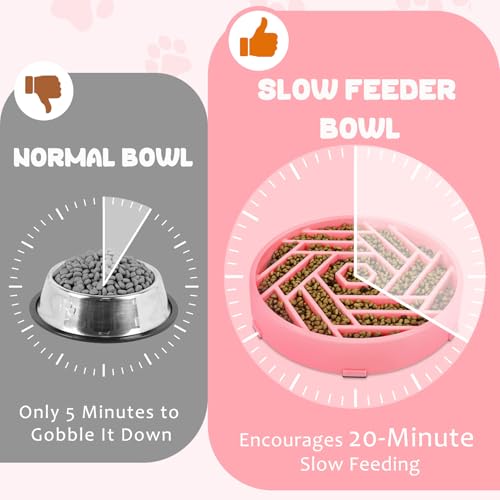 Slow Feeder Dog Bowl (pink)