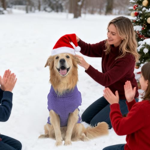 Turtleneck Dog Sweater (X-Small / Light Purple)