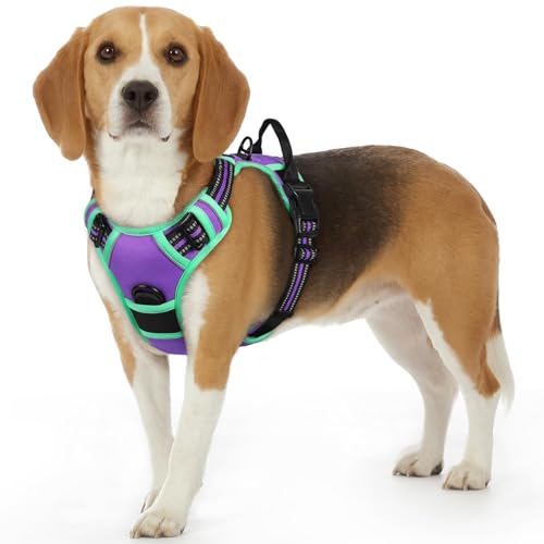 Dog Harness for Small Dogs (Small / Purple & Turquoise)