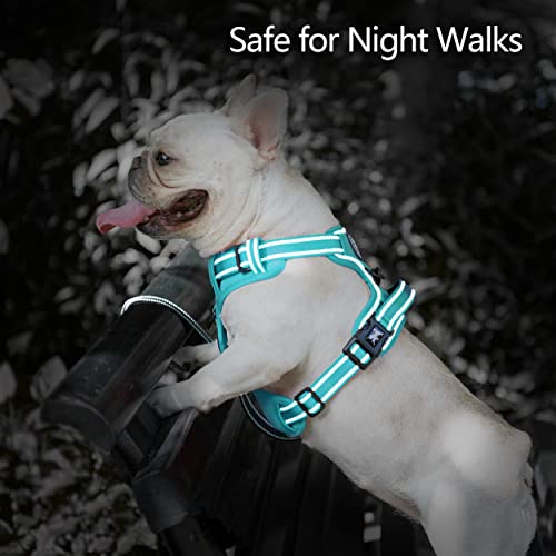 No Pull Dog Harness (Large / Mint Blue(Matching Trim))