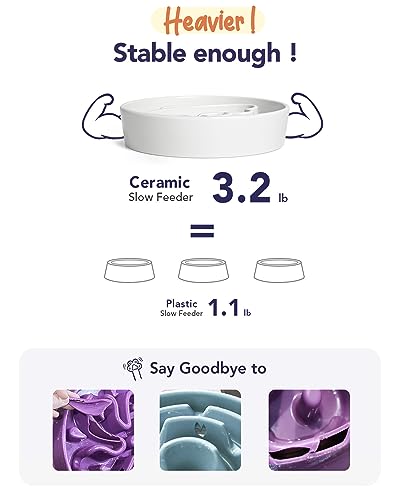 Dog Bowls Slow Feeder Ceramic (Angle White / M-1.5 Cups)
