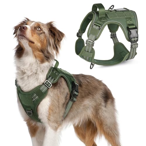Tactical Dog Harness for Medium (Green / Medium)