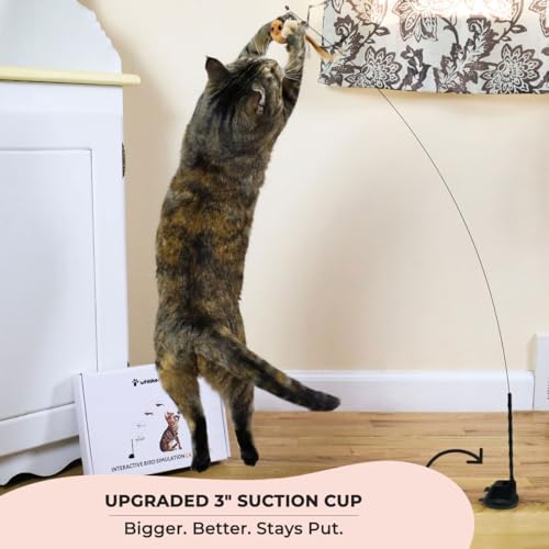 Interactive Bird Simulation Cat Toy Set (Bird Toy Set with 5 Birds)