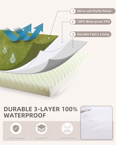 Orthopedic Dog Bed for Small Dogs with Waterproof Lining (Green / 23.0"L x 17.0"W x 3.0"Th)