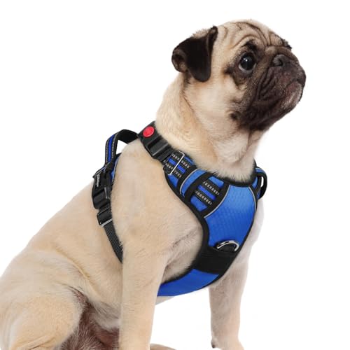 Dog Harness Small Sized (Royal Blue / Small)