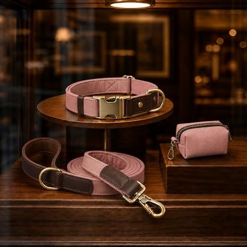 PU Leather Dog Leash for Large Dogs (Pink / 1"x 6FT)