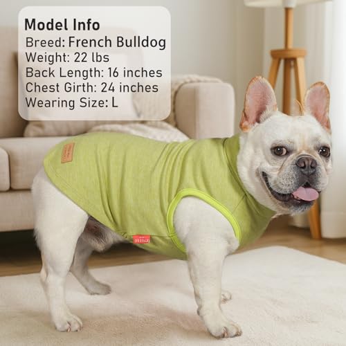 2Pack Dog Sweater for Small Dogs Soft Pet Coats Fleece Sweatshirt (Medium (7-11lbs) / 4# Stripe+Green)