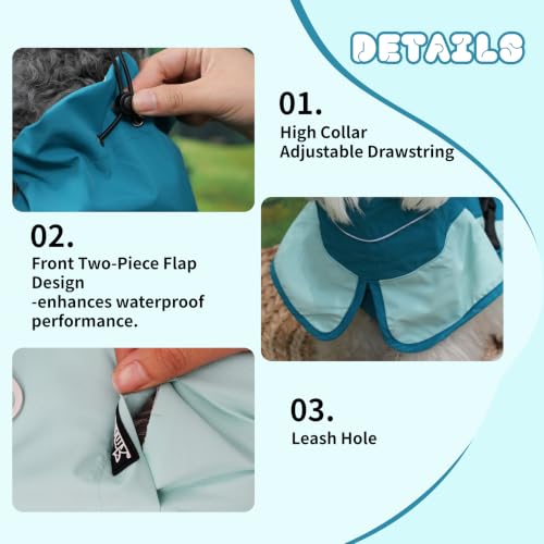 Waterproof Dog Raincoat (Light Blue&Blue / X-Large)