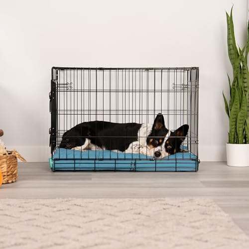 Orthopedic Dog Bed (Medium / Lagoon)