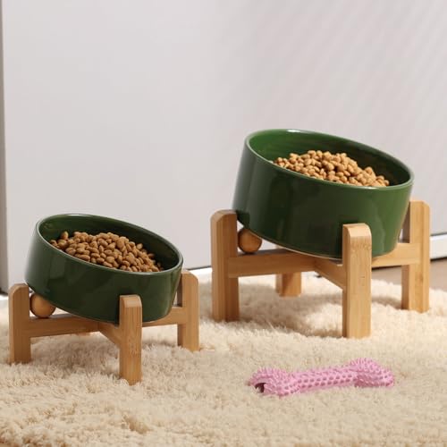 Elevated Raised 15°Slanted Ceramic Dog Bowl for Small and Medium Breeds (Rust Green / 3.6 CUPS - Medium Dog Bowls)