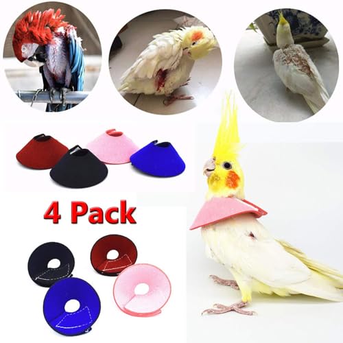 4Pack Parrot Anti (S - Suitable for Budgerigar)