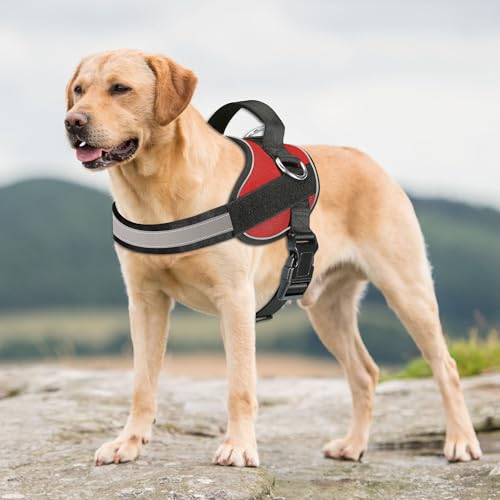 Essential Dog Harness (L / Red)