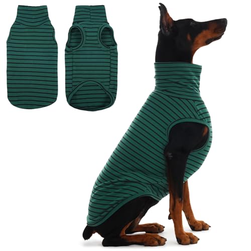 XXXL Dog Sweater (XXX-Large / Green Stripes)