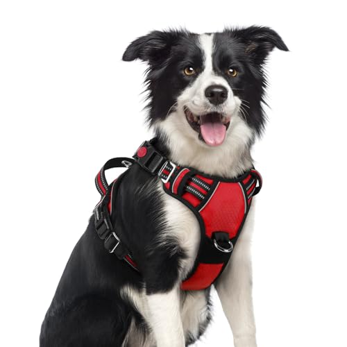 Dog Harness Medium Sized (Red / Medium)