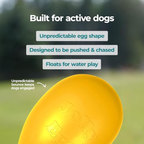 Jolly Egg Herding Dog Toy (Medium (8 in) / Yellow)