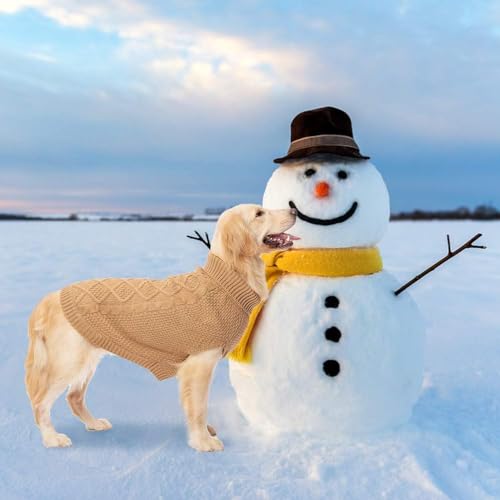 Turtleneck Dog Sweater (Small/Medium / Khaki)