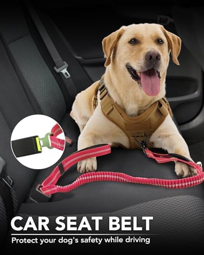 Tactical Bungee Dog Leash (Hot pink)