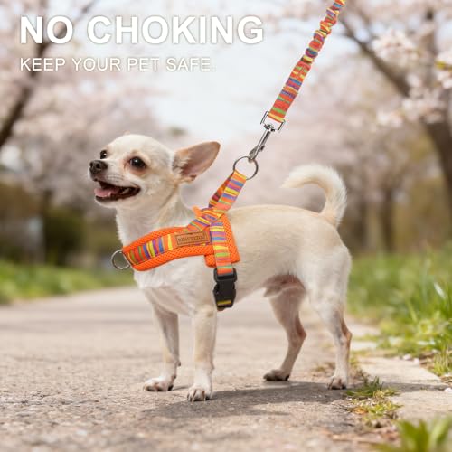 Small Dog Harness and Leash Set (Mix Orange / XS: Chest 15"-18")
