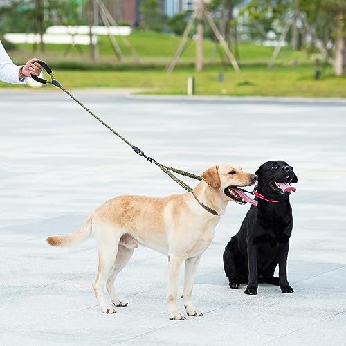 Double Dog Leash (Military Green / Large)
