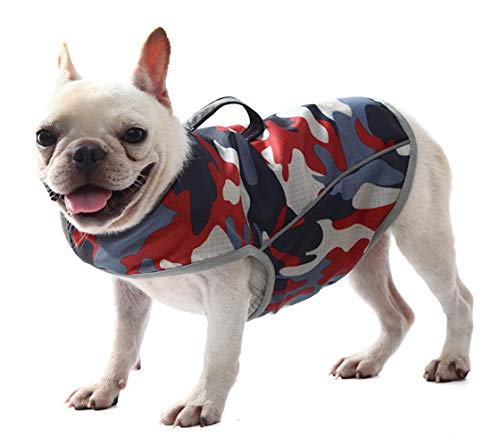 Dog Anxiety Jacket (Small)