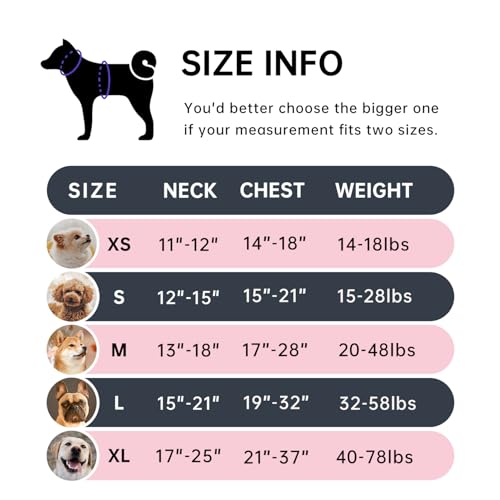 No Pull Dog Harness for Small Dogs (Black / Small)