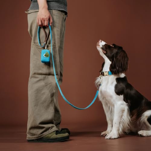 PU Leather Dog Leash for Medium Dogs (Light Blue / 3/4''x 5FT)