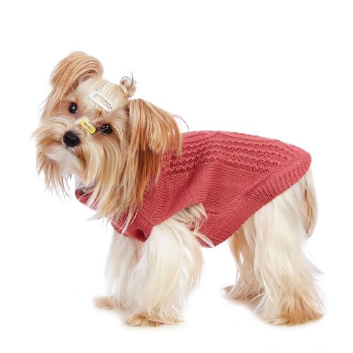 Cat Sweater Stretchy (Maple Leaf Red / XXL)