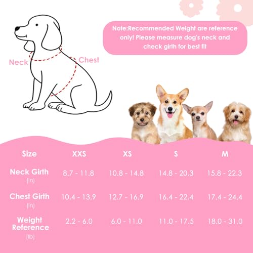 No Pull Dog Harness with Leash for Small Medium Dogs (XX-Small(2.2-6lb) / Solid Pink)