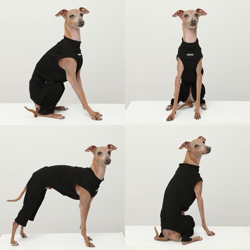 D Doggy Star Italian Greyhound Clothes High (XL / COORDI BLACK)