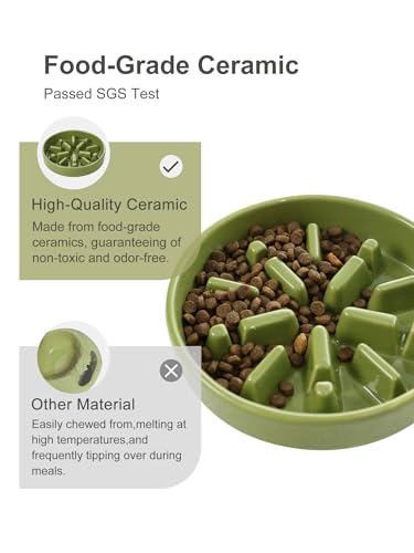 Ceramic Slow Feeder Dog Bowl (Lights-Green / Medium)