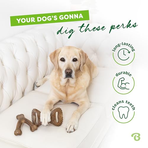 2 Pack Wishbone (Large / Wishbone/Dental)