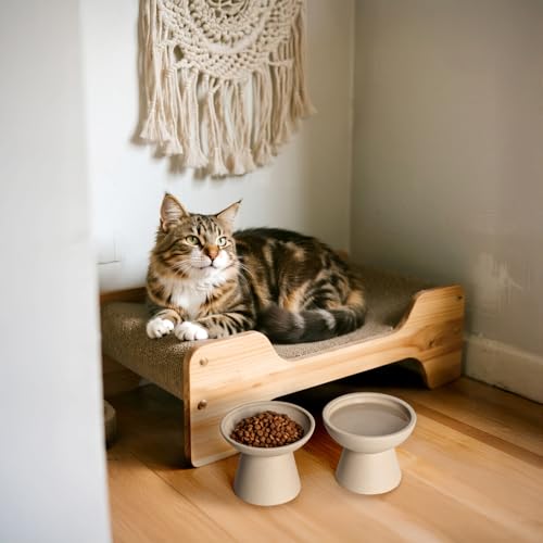 2 Pack Elevated Ceramic Cat Bowls Extra Wide for Food & Water (Pottery Clay)