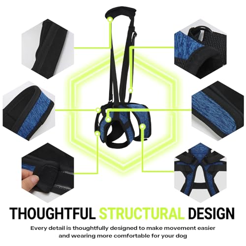 Dog Lift Harness (S / Blue)