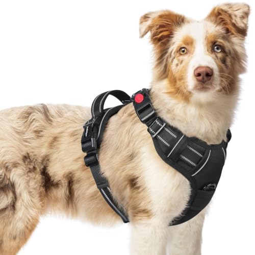 Dog Harness Medium Sized (Medium / Black)