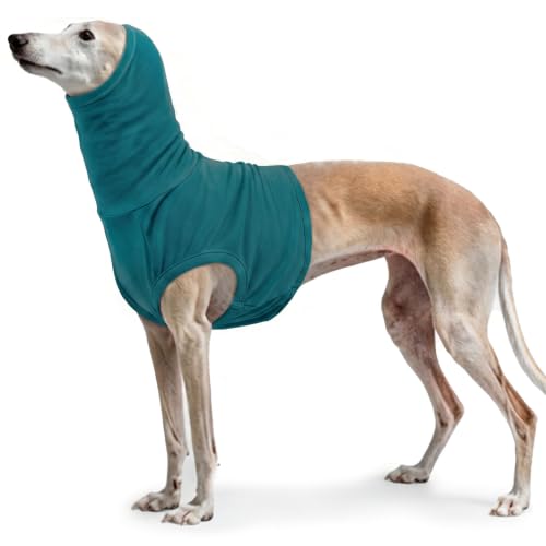 Dog Snood Post Surgery (Turquoise / XL(Chest: 27.6"))