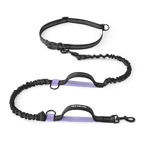 Hands Free Leash (Black Light Purple / 7FT Hands Free)