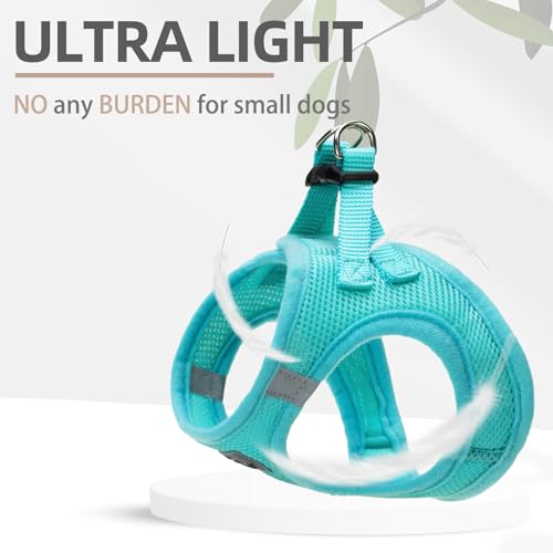 Dog Harness Collar and Leash Set No Pull for Small Medium Sized (Turquoise / S (CHEST 14.5"-16"))