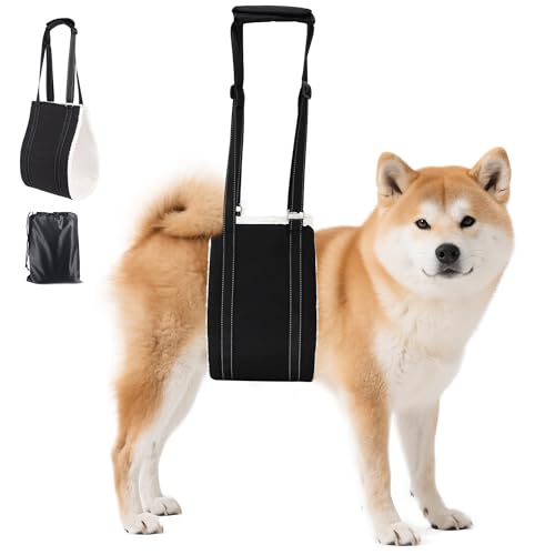 Adjustable Dog Sling Dog Lift Harness Hind Leg Support (Black / M)