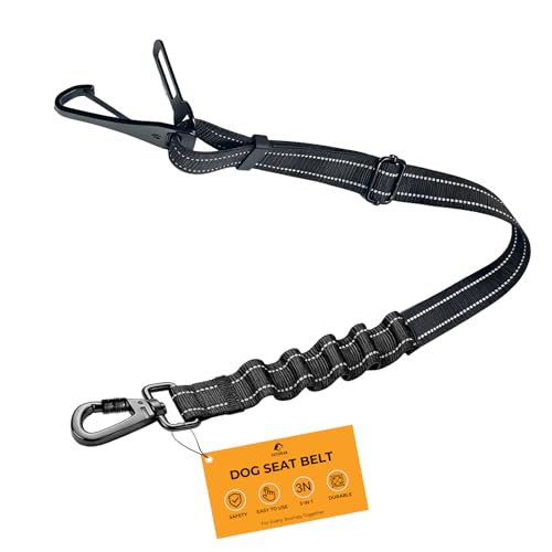 Dog Seat Belt for Car (Black / 21.6"-32")