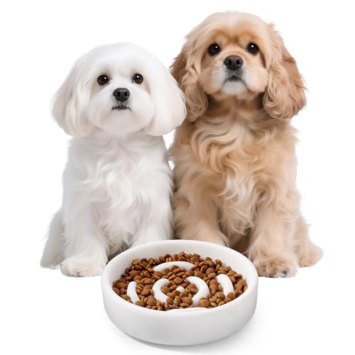 Marble Slow Feeder Dog Bowl (Fantasy White)