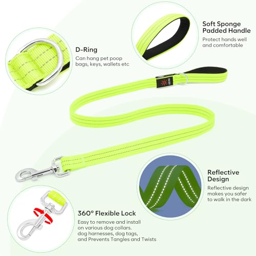 LED Dog Leash (Green)