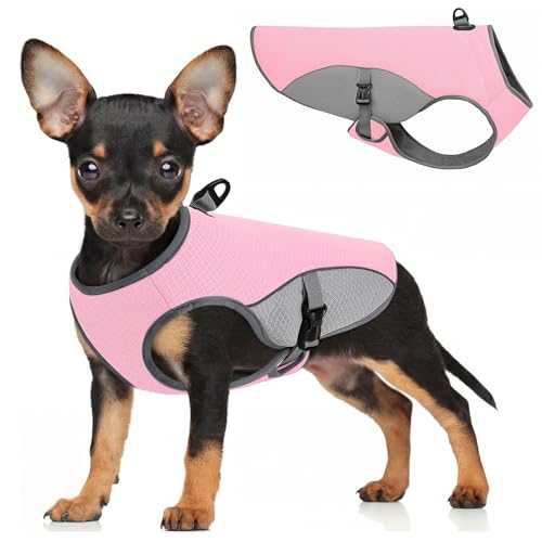 Dog Cooling Vest for Small Dogs (Pink / Small)