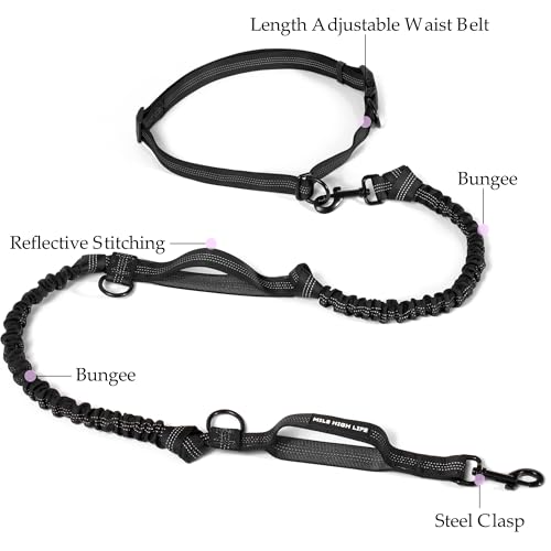Hands Free Leash (Black / 7FT Hands Free)